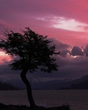 crw_3718 Sunset over Lago Grey at Refugio Grey.