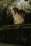 _mg_0631 Lichen covered ruin in the El Mundo Perdido part of Tikal.