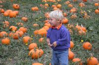 Kellen in Pumpkin Patch