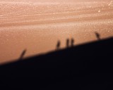 crw_2996 Shadows of people on the top of the sand dune.