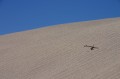 deathvalley30 Wind patterns on the side of the dune.