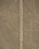 _mg_8076 The whale with a road running right through it.