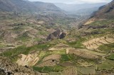 _mg_8307 Generic view of farms in Colca Canyon.