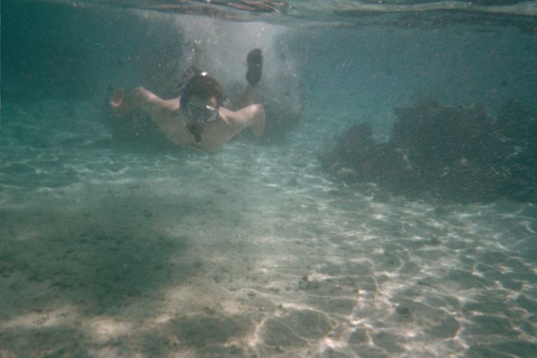 Joey snorkeling